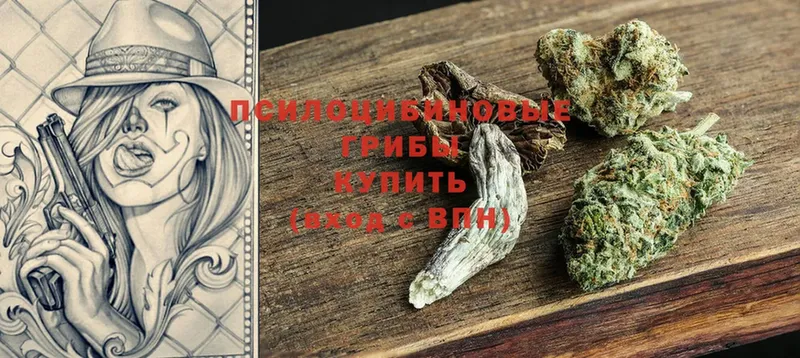 Галлюциногенные грибы Cubensis  мориарти какой сайт  Катав-Ивановск  закладка 